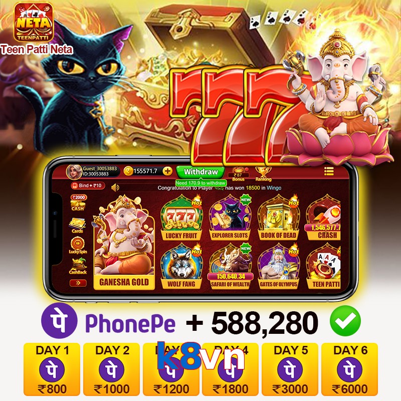 k8vn