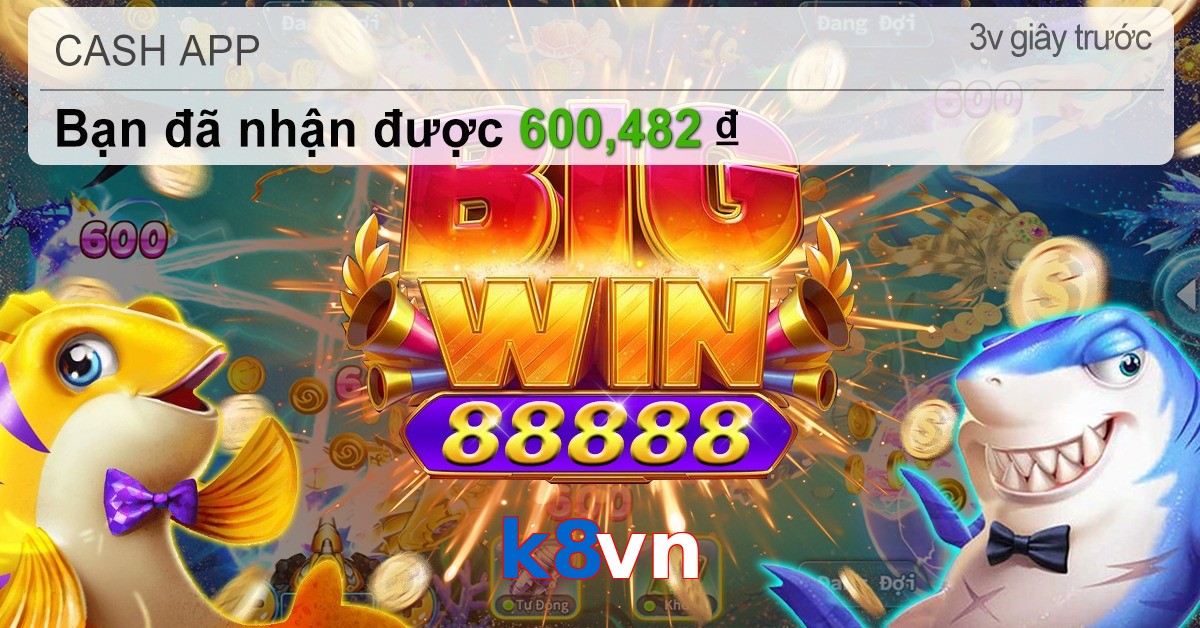 k8vn